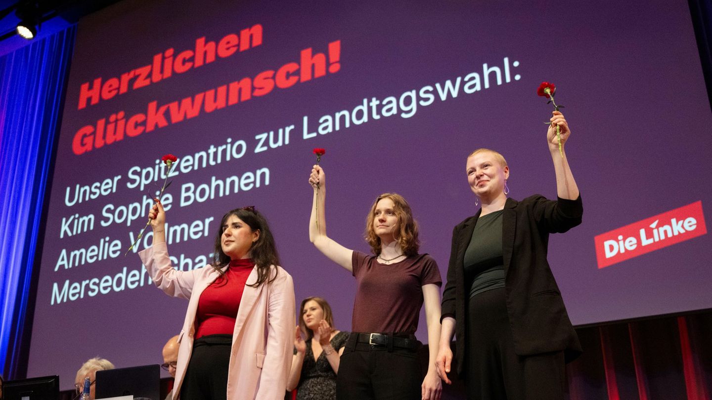 Die Linke will im März 2026 in den Landtag einziehen. Foto: Marijan Murat/dpa