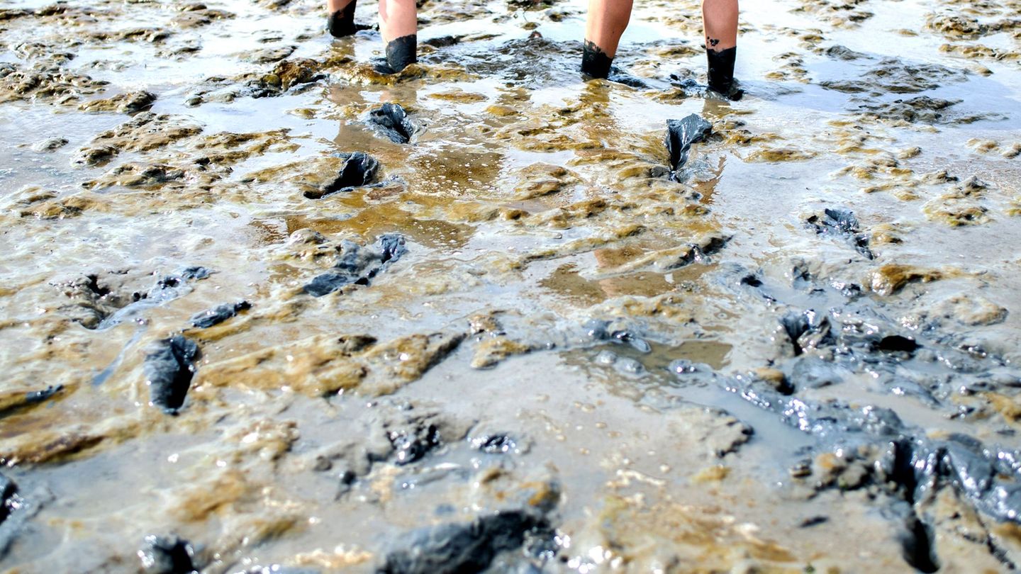 Einsatzkräfte müssen immer wieder Menschen in Notlagen aus dem Watt retten. (Symbolbild) Foto: Hauke-Christian Dittrich/dpa