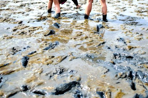 Einsatzkräfte müssen immer wieder Menschen in Notlagen aus dem Watt retten. (Symbolbild) Foto: Hauke-Christian Dittrich/dpa