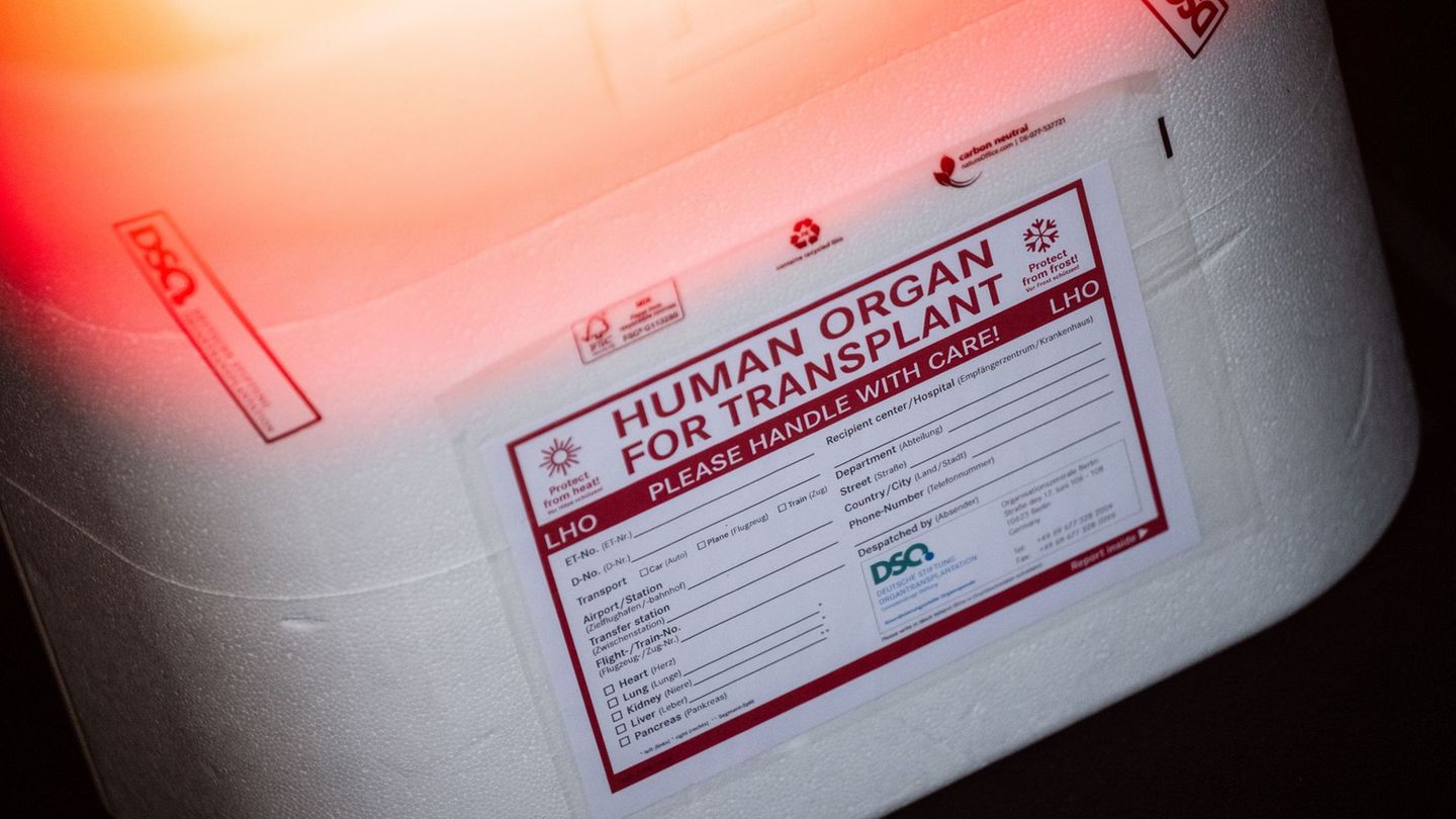280 Menschen aus Thüringen stehen auf der Warteliste für Spenderorgane. (Symbolbild) Foto: Sebastian Gollnow/dpa