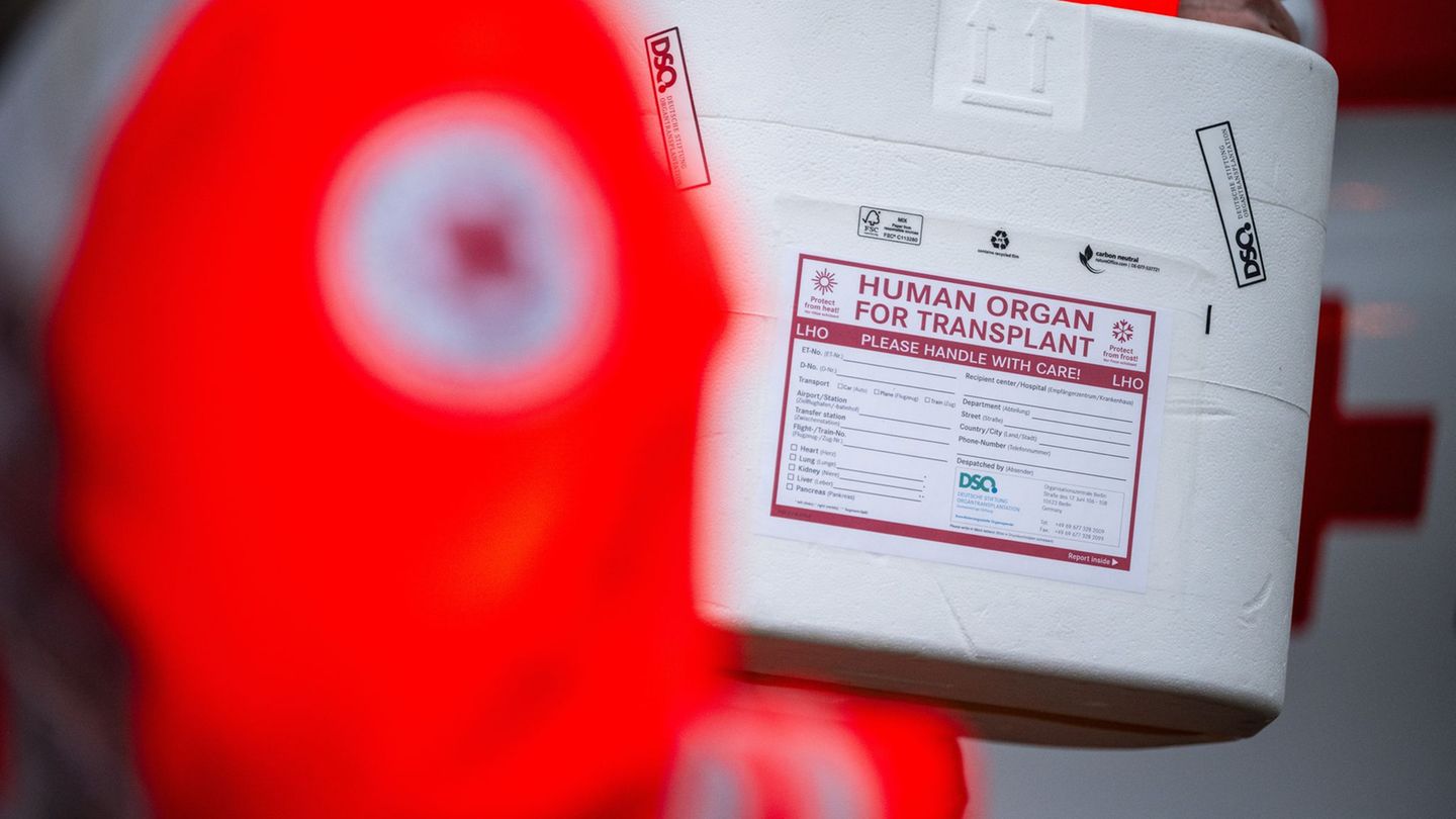 Im Norden Deutschlands wurden zuletzt wieder etwas mehr Organe gespendet. (Symbolbild) Foto: Sebastian Gollnow/dpa