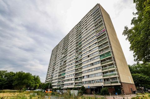 Der größte "Weiße Riese": Neben Schädlingen und Schimmel drückt demnach vor allem das schwierige Wohnumfeld auf den Immobilienwe