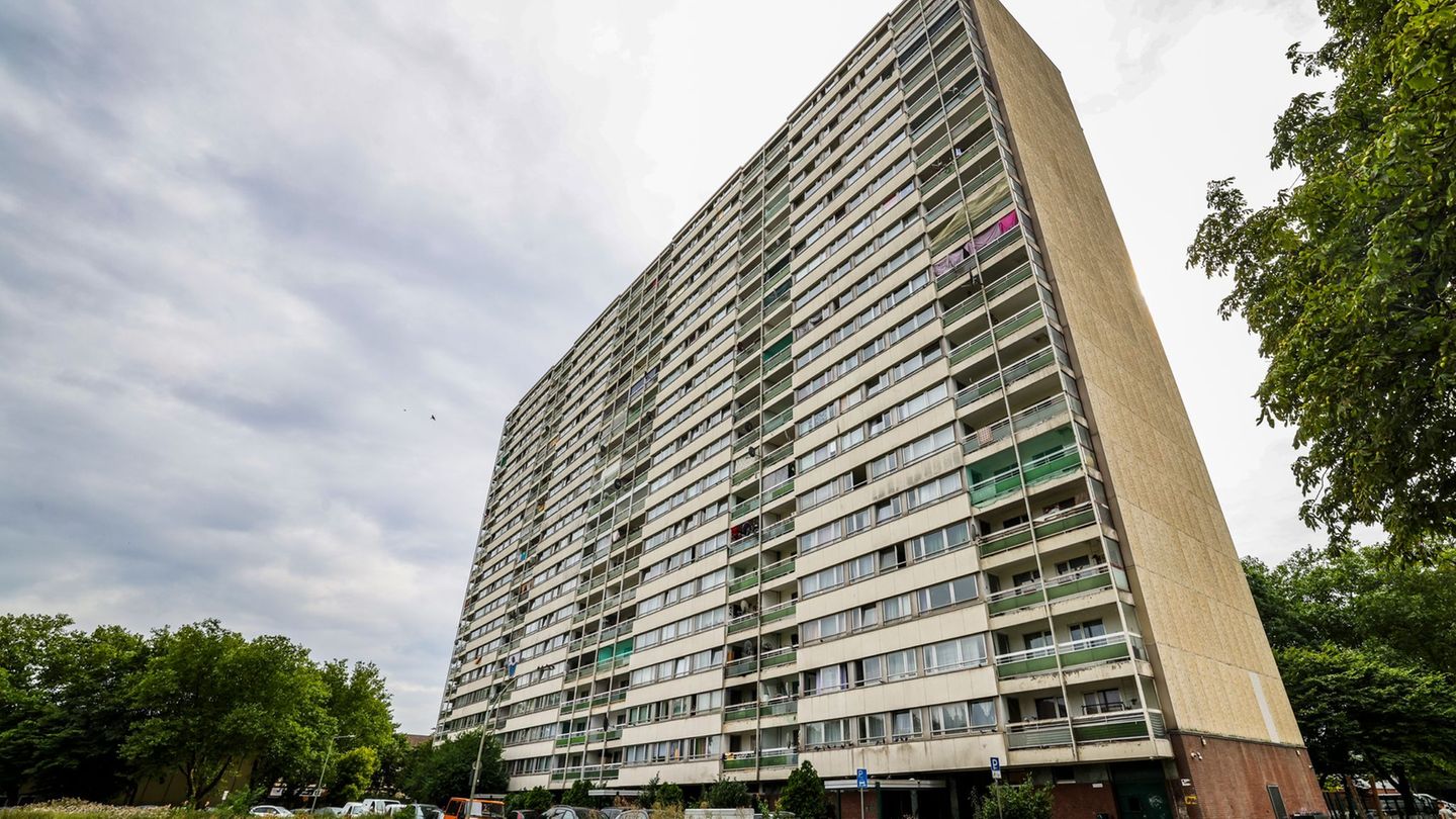 Der größte "Weiße Riese": Neben Schädlingen und Schimmel drückt demnach vor allem das schwierige Wohnumfeld auf den Immobilienwe