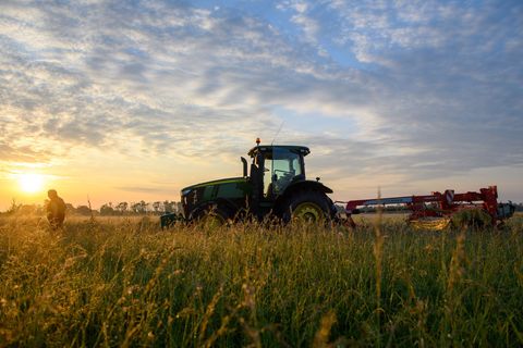 Nach Angaben des Landwirtschaftsministeriums hat sich die ökologisch bewirtschaftete Fläche von 2015 bis Ende 2024 auf knapp 90