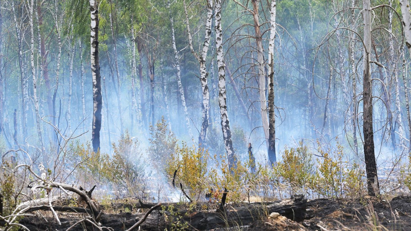 In der ersten Juli-Woche brach auf dem ehemaligen Truppenübungsplatz bei Jüterbog ein Waldbrand aus. (Archivbild) Foto: Michael