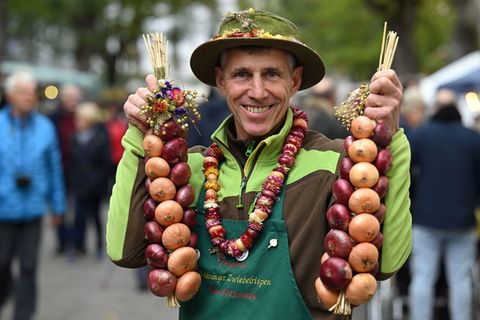 Begehrtes Produkt: Spiralförmig zu Zöpfen gewickelte rote und helle Zwiebeln sind das Markenzeichen der Heldrunger Zwiebelbauern