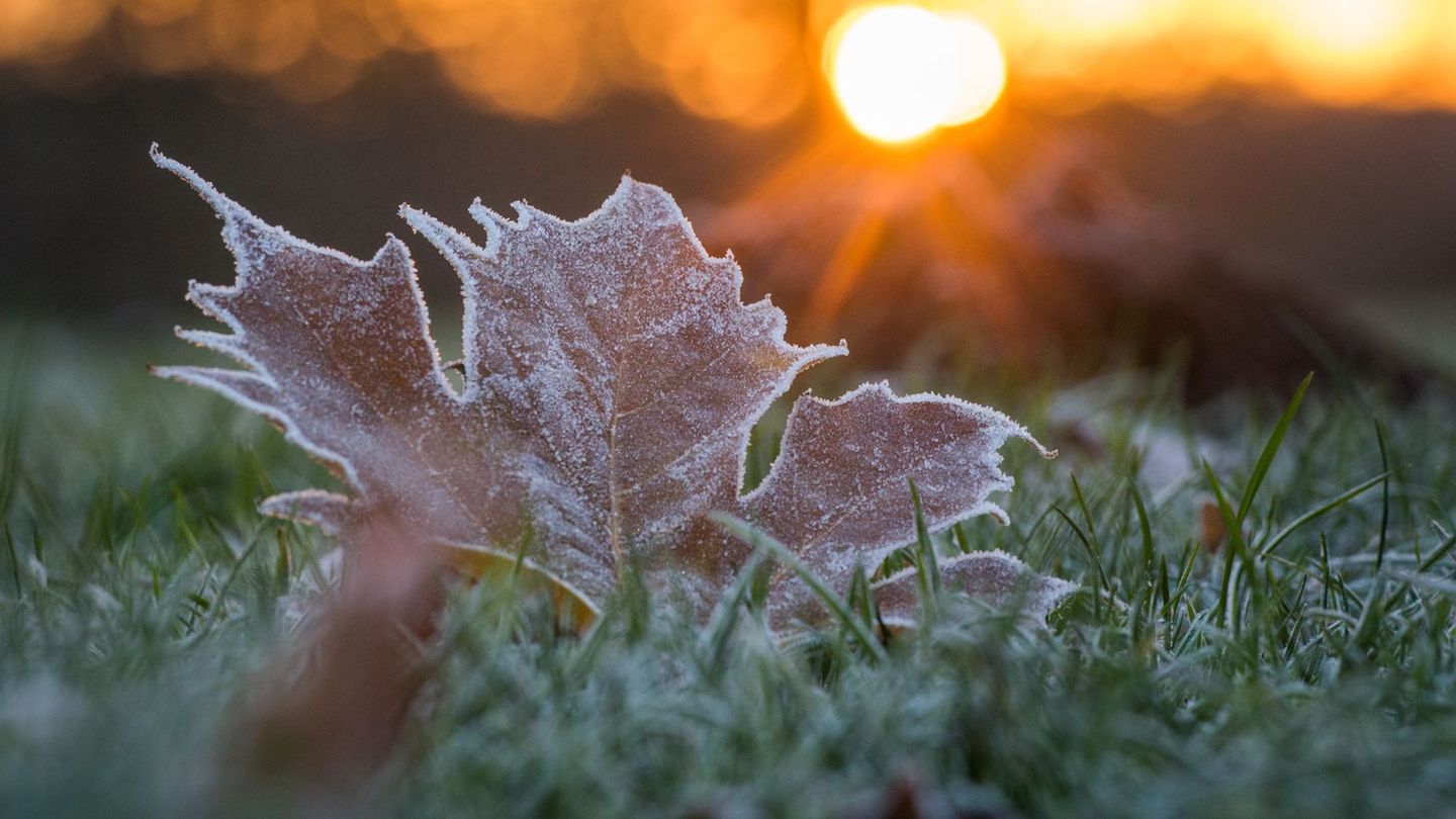In Sachsen, Thüringen und Sachsen-Anhalt könnte es in der nächsten Woche Bodenfrost geben. (Symbolbild) Foto: Candy Welz/dpa-Zen