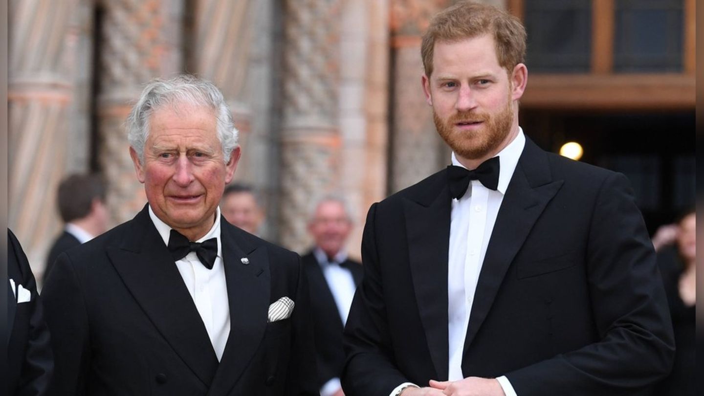 Das Verhältnis zwischen König Charles und seinem jüngeren Sohn Prinz Harry ist angespannt
