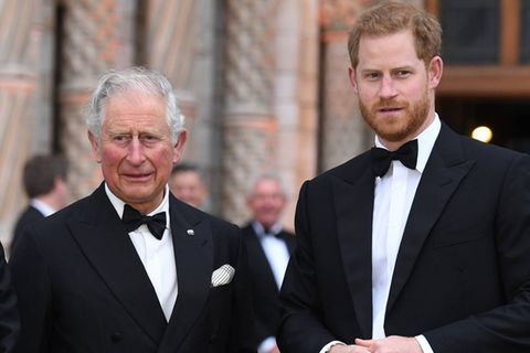 Das Verhältnis zwischen König Charles und seinem jüngeren Sohn Prinz Harry ist angespannt