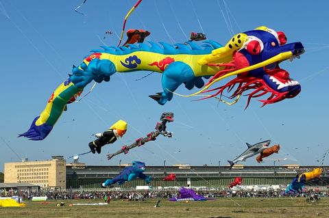 Die Drachen sind teils Dutzende Meter lang. Foto: Caroline Bock/dpa