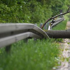 Die Feuerwehr beseitigte den Baum nach dem schweren Unfall. (Symbolbild) Foto: Arne Dedert/dpa