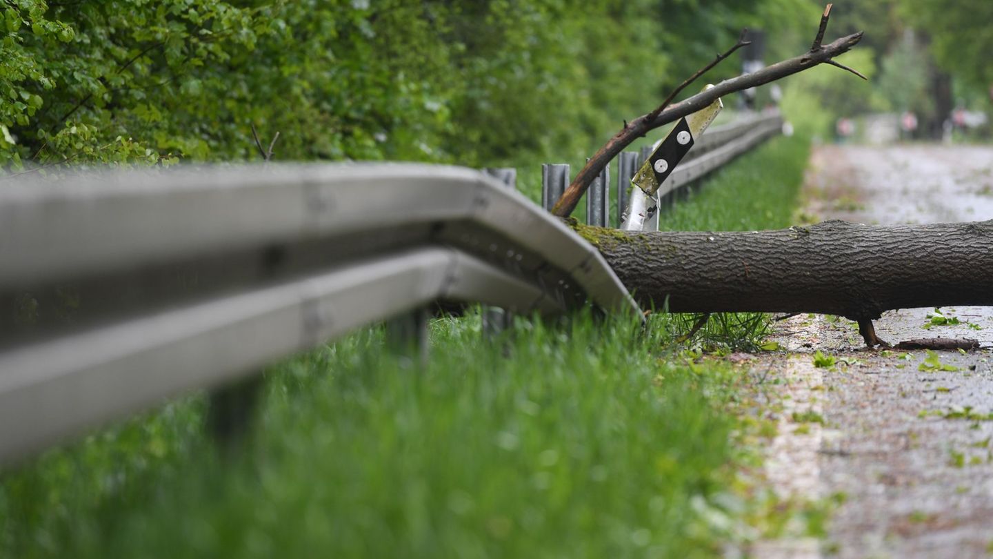 Die Feuerwehr beseitigte den Baum nach dem schweren Unfall. (Symbolbild) Foto: Arne Dedert/dpa