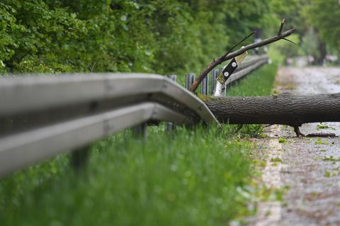 Die Feuerwehr beseitigte den Baum nach dem schweren Unfall. (Symbolbild) Foto: Arne Dedert/dpa