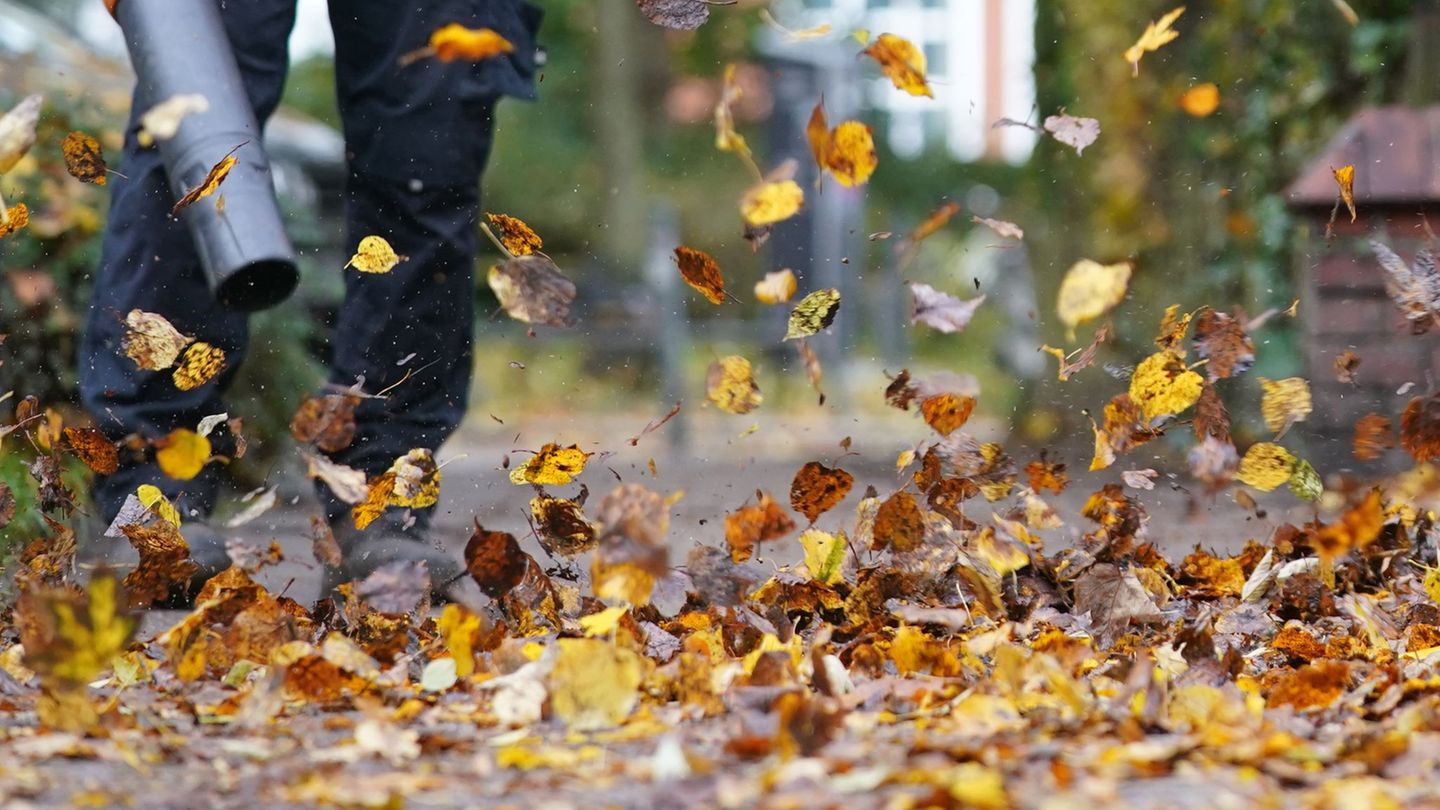 Zürich will den Einsatz nur noch von Oktober bis Dezember erlauben. (Symbolfoto) Foto: Marcus Brandt/dpa/dpa-tmn