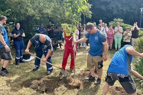 Sachsen ist im Pflanzfieber: Bei der aktuellen Baumpflanzchallenge greifen Feuerwehren, Vereine und Bürgermeister vielerorts zum