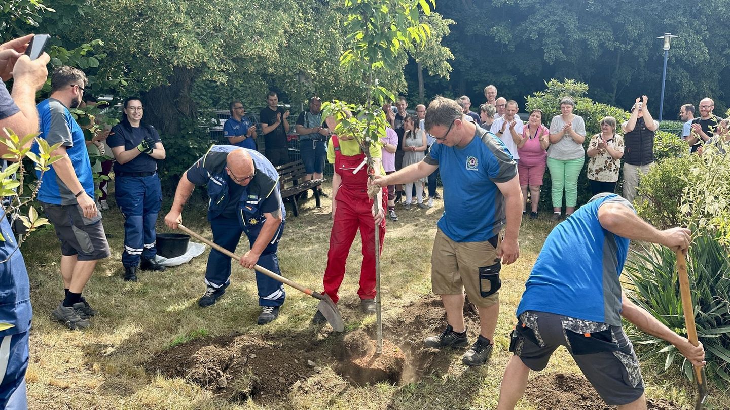 Sachsen ist im Pflanzfieber: Bei der aktuellen Baumpflanzchallenge greifen Feuerwehren, Vereine und Bürgermeister vielerorts zum