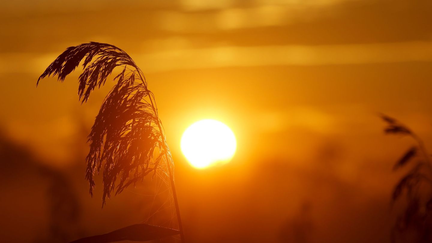 Am Sonntag lädt das Wetter zu einem Herbstspaziergang in der Sonne ein. (Archivbild) Foto: Thomas Warnack/dpa