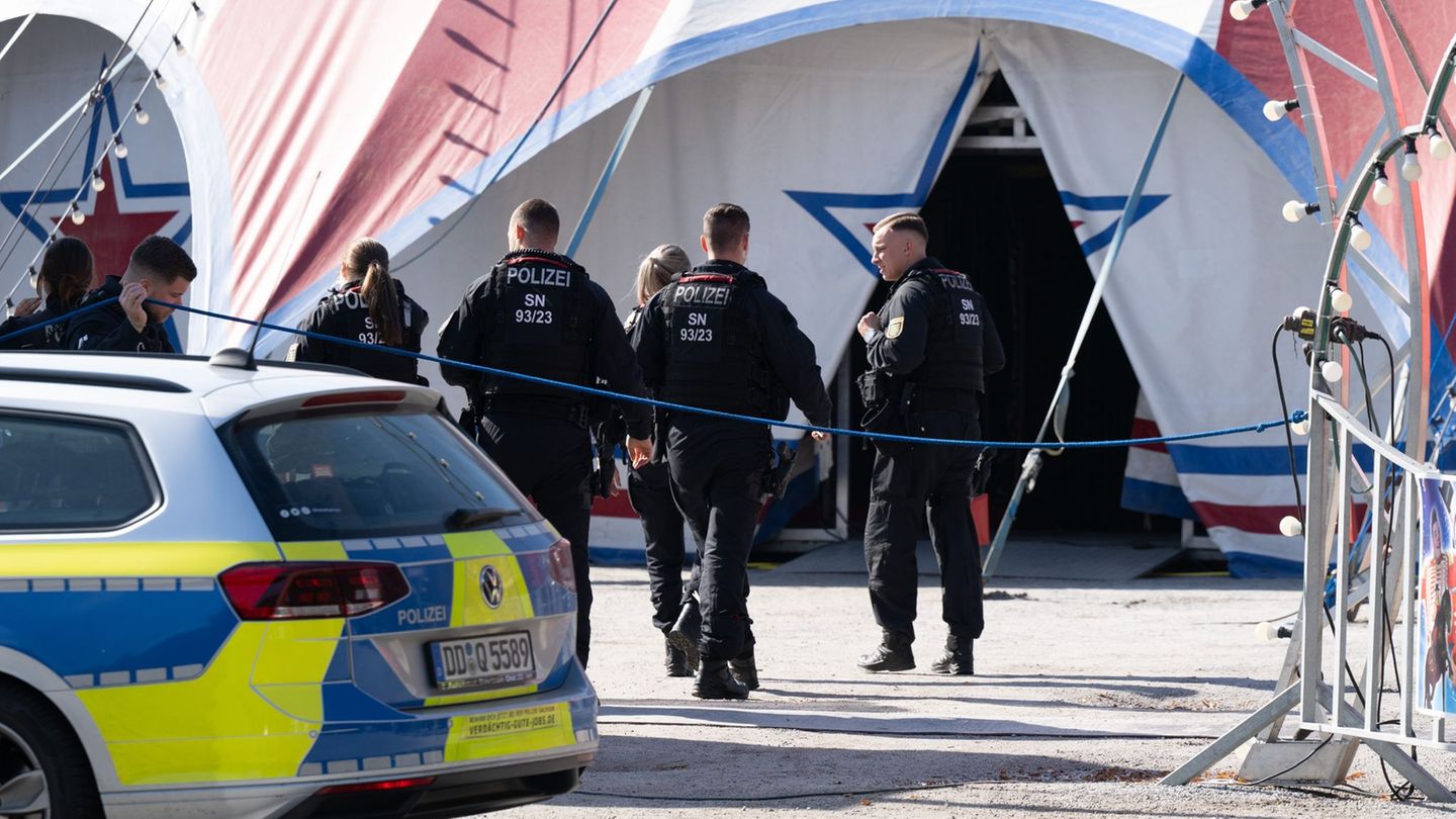 Während einer Vorstellung stürzt eine Zirkusartistin vor den Augen vieler Kinder zu Tode. Foto: Sebastian Kahnert/dpa