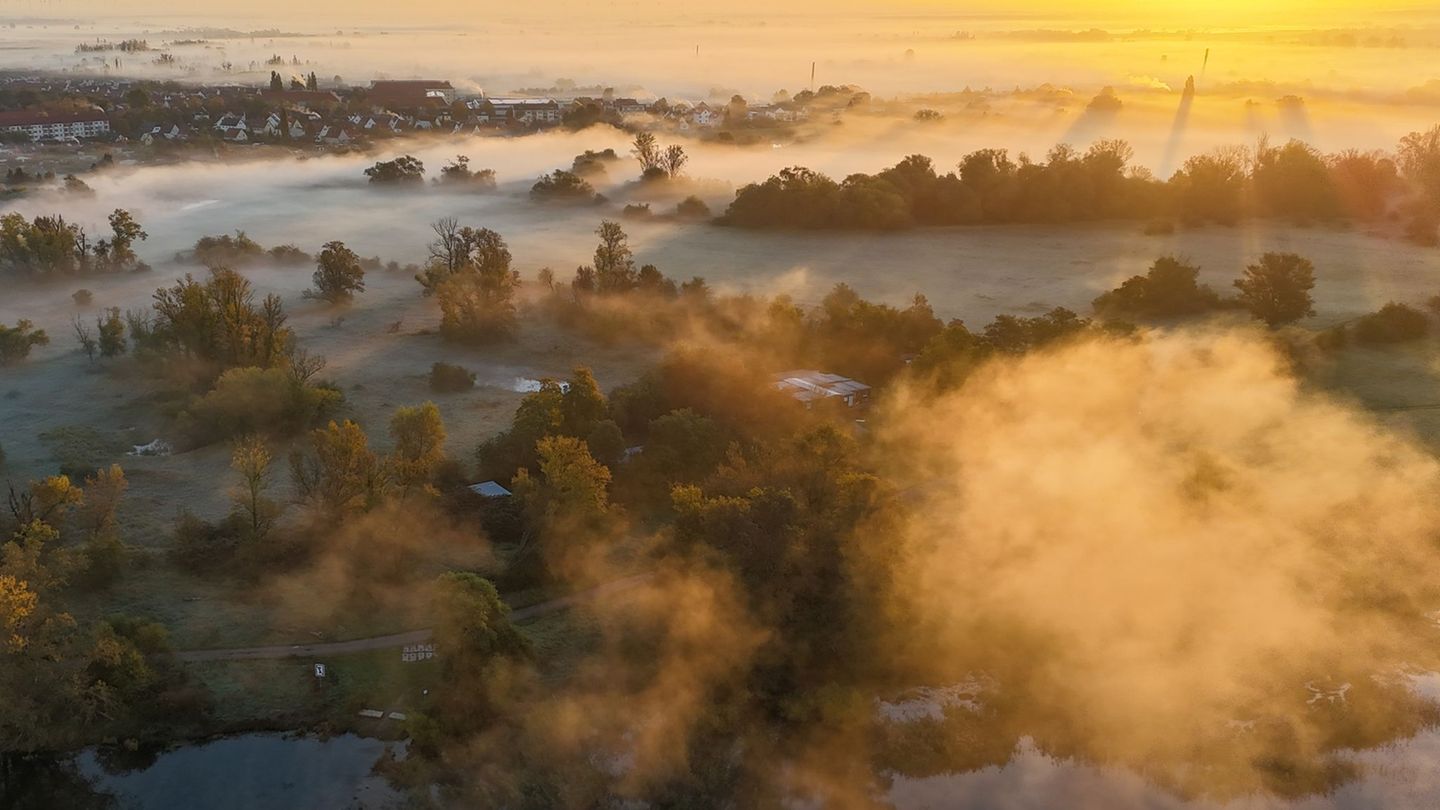 Nebel ist typisch für den Herbst. (Symbolbild) Foto: Peter Gercke/zb Regio/dpa