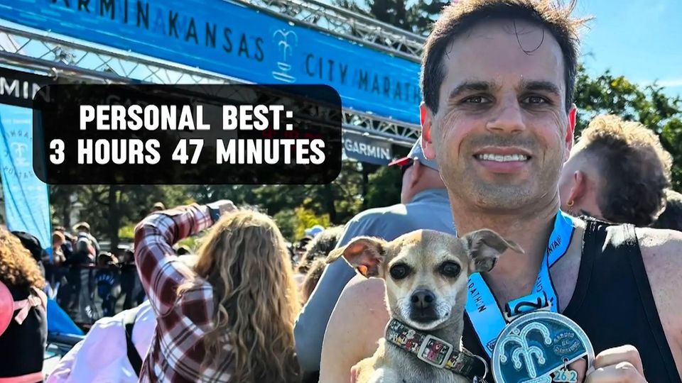 Sportlicher Hund: Chihuahua-Mischling bricht Marathon-Rekord