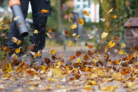 Zürich will den Einsatz nur noch von Oktober bis Dezember erlauben. (Symbolfoto) Foto: Marcus Brandt/dpa/dpa-tmn