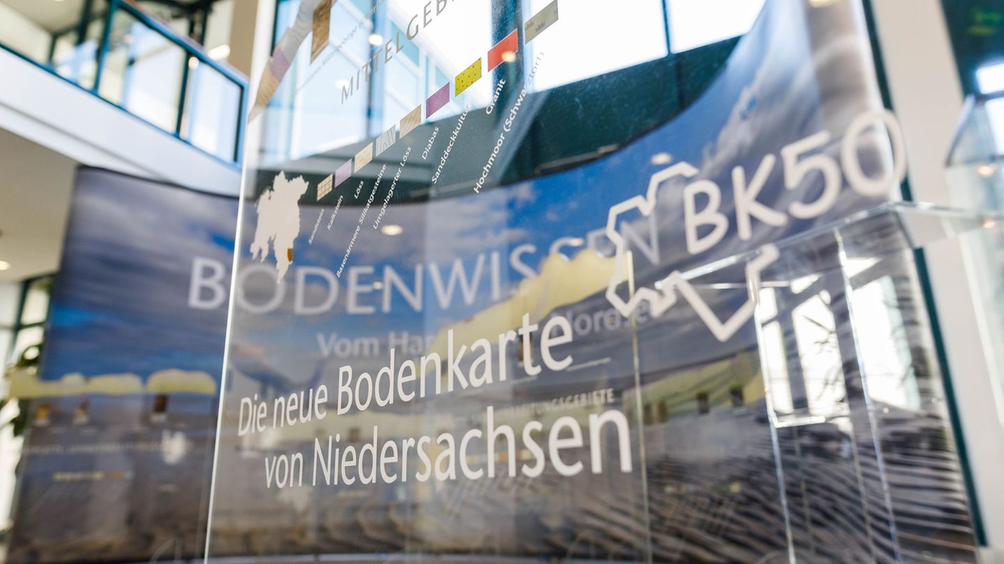 Mit der Untersuchung von Gesteinsproben wollen Wissenschaftler die Umwelt vor rund 200 Millionen Jahren in der Region Hannover e