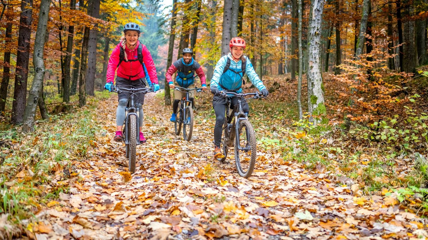 Geschenke für Radfahrer: 13 kreative Ideen, die Bikern Freude machen