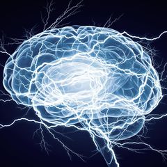 Nerven übertragen Signale über elektrische Impulse – etwa die Information, dass im Körper etwas schmerzt