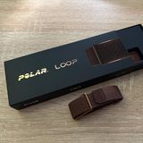 Loop von Polar