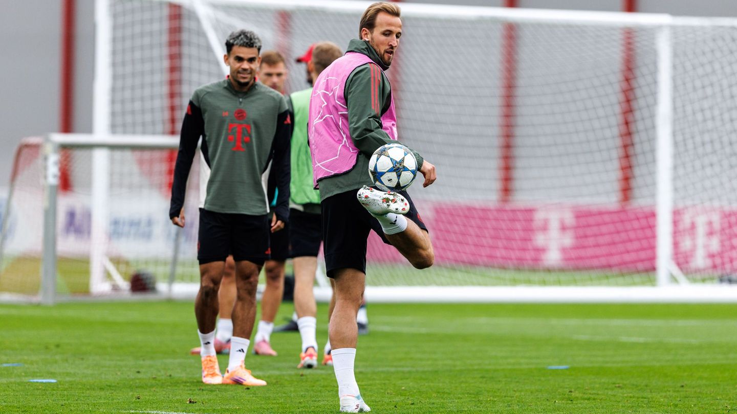 Ist Harry Kane auch auf Zypern wieder Bayerns Erfolgsgarant? Foto: Matthias Balk/dpa