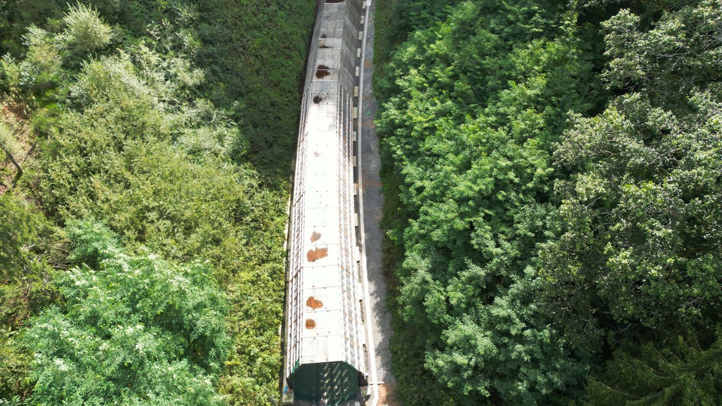 Die Hermann-Hesse-Bahn soll ab kommenden Jahr wieder auf der Strecke in der Region Calw fahren. (Archivbild) Foto: Bernd Weißbro