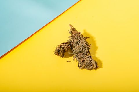 Hilfe bei chronischen Rückenschmerzen: Cannabis