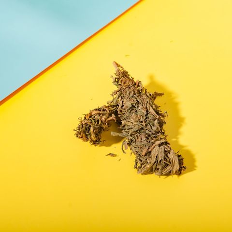 Hilfe bei chronischen Rückenschmerzen: Cannabis