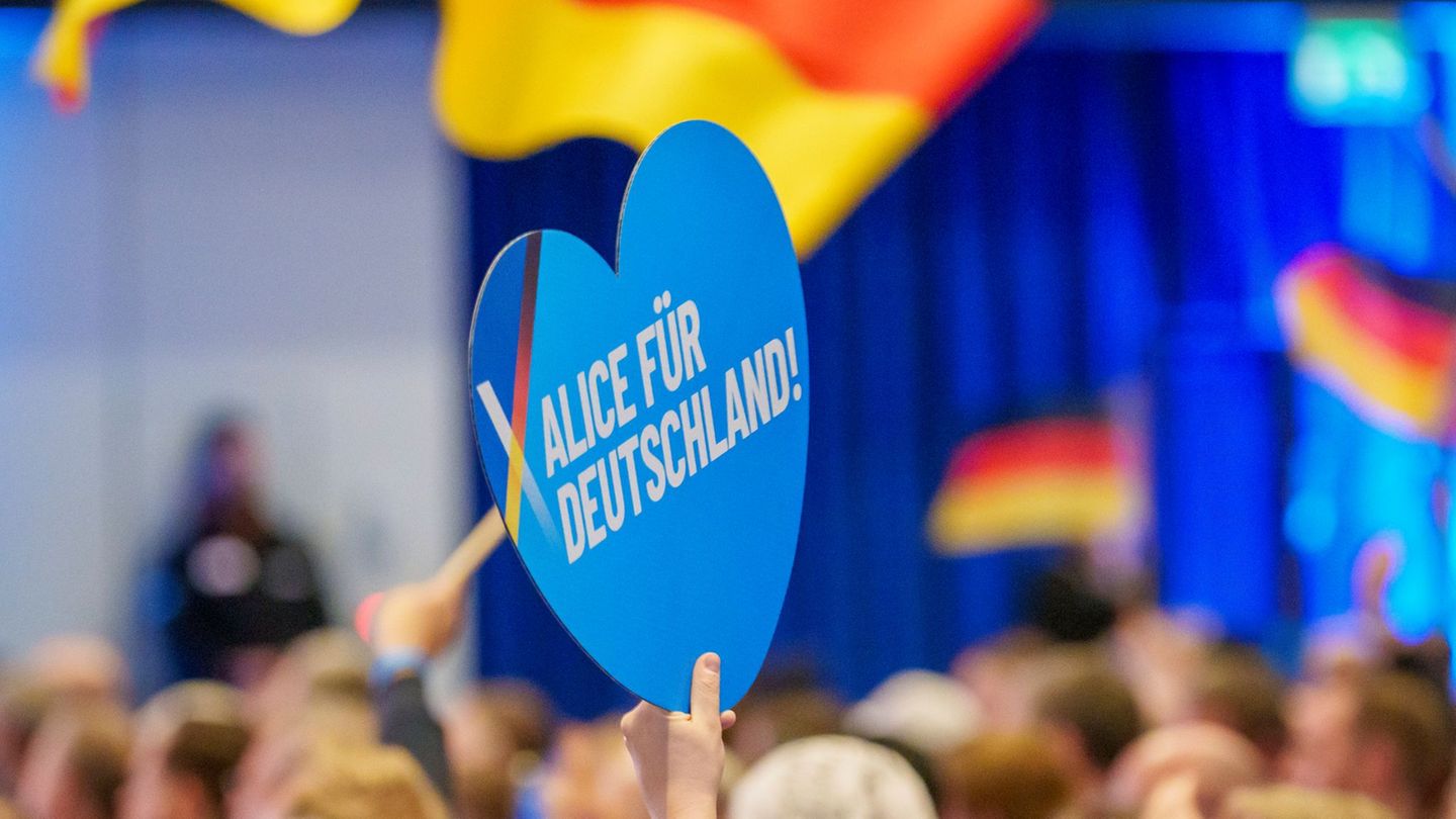 Die AfD in Hessen - hier im Wahlkampf für die Bundestagswahl im Februar in Neu-Isenburg - darf als rechtsextremer Verdachtsfall