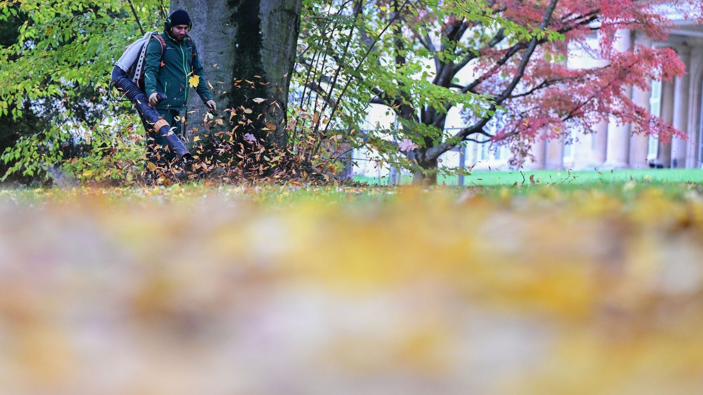 Im Herbst sind die Laubbläser vielerorts zu hören. (Archivbild) Foto: Bernd Weißbrod/dpa