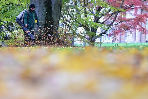 Im Herbst sind die Laubbläser vielerorts zu hören. (Archivbild) Foto: Bernd Weißbrod/dpa