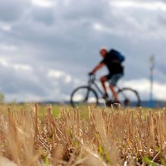 Viel Sonne, aber auch etwas mehr Regen als im langjährigen Mittel hat der September Sachsen-Anhalt gebracht. (Symbolbild) Foto: