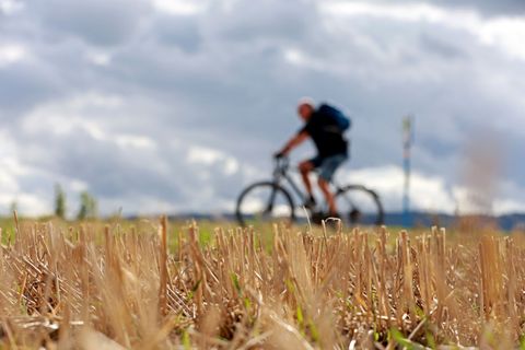Viel Sonne, aber auch etwas mehr Regen als im langjährigen Mittel hat der September Sachsen-Anhalt gebracht. (Symbolbild) Foto: