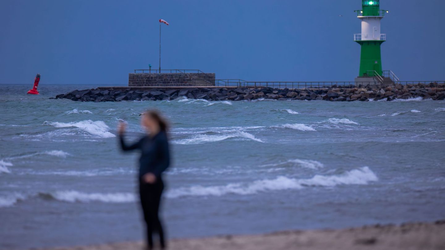 Experten gehen der Ursache des Fischsterbens auf den Grund. Betroffen ist die Küste von Markgrafenheide, Hohe Düne, Warnemünde b