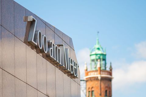 Die Mutter des Jungtiers geht es laut Zoo inzwischen wieder besser. (Archivbild) Foto: Mohssen Assanimoghaddam/dpa