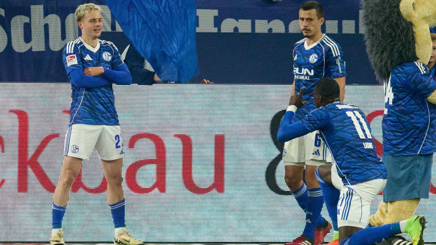 Finn Porath (l.) jubelt über sein Tor für Schalke. (Archivbild) Foto: Bernd Thissen/dpa