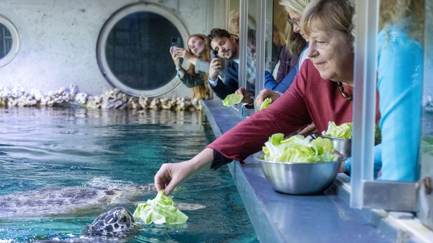 Angela Merkel ist nach Stralsund gekommen - Anlass war unter anderem ein Festakt zum Abschluss der Modernisierung des Meeresmuse