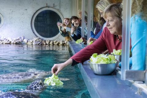Angela Merkel ist nach Stralsund gekommen - Anlass war unter anderem ein Festakt zum Abschluss der Modernisierung des Meeresmuse