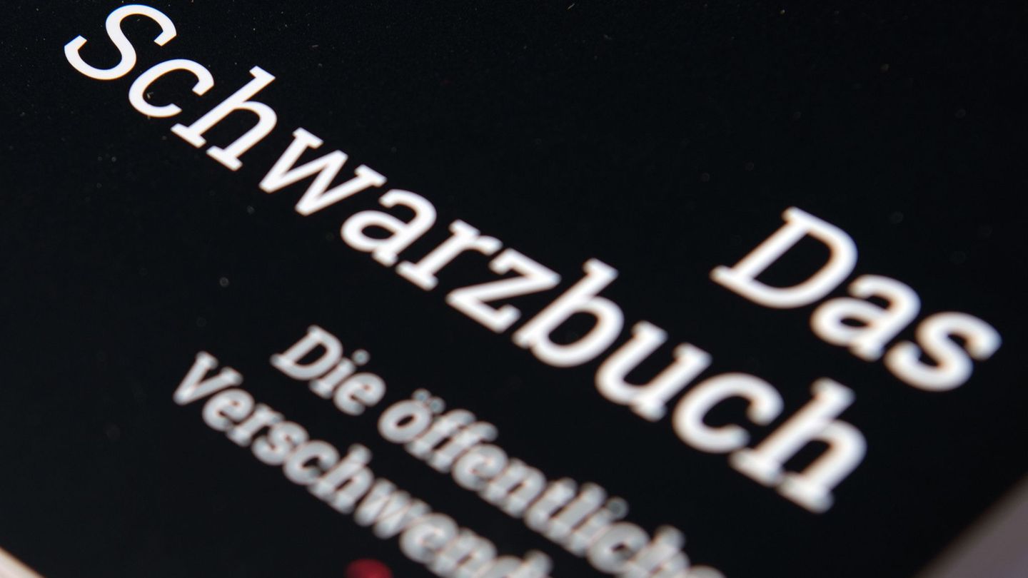 Wo hätte die Stadt Geld der Steuerzahler mal besser nicht ausgegeben? Der Bund der Steuerzahler sucht nach solchen Fällen. (Arch