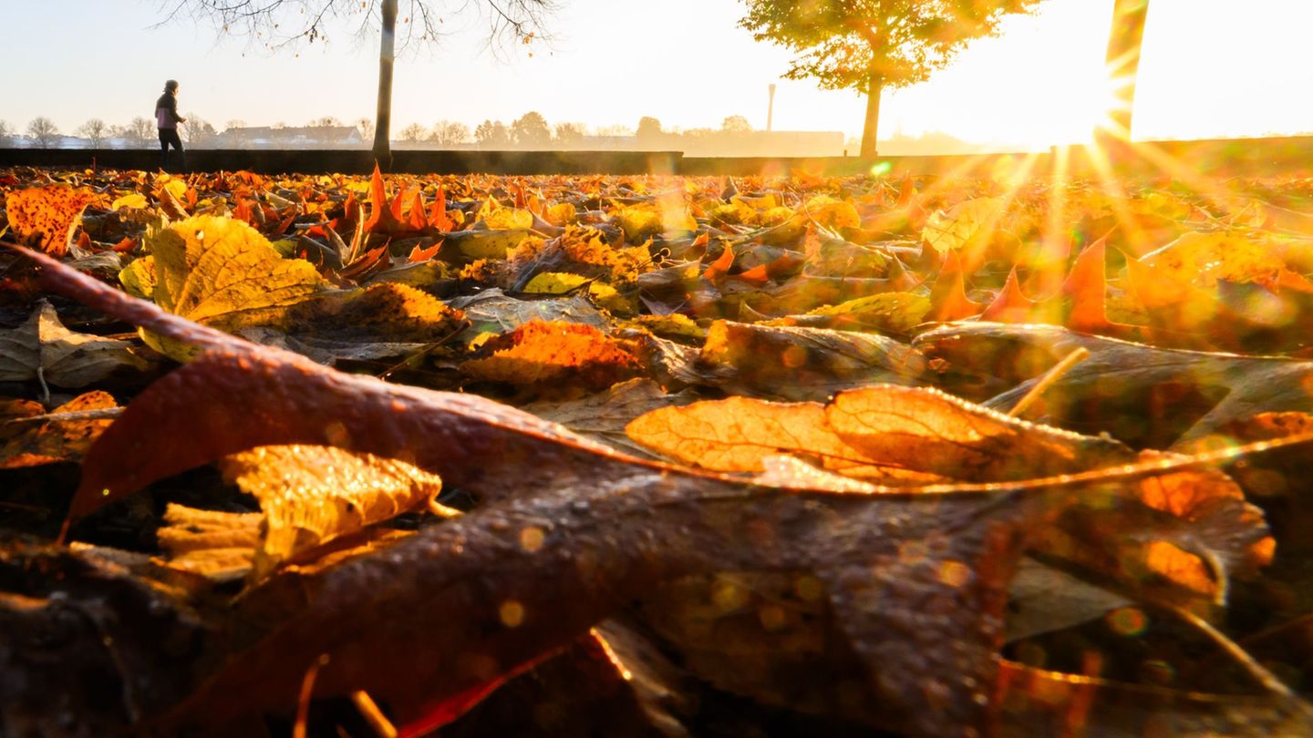 Zum Oktoberbeginn zeigt sich der Herbst von seiner besten Seite. (Symbolbild) Foto: Julian Stratenschulte/dpa