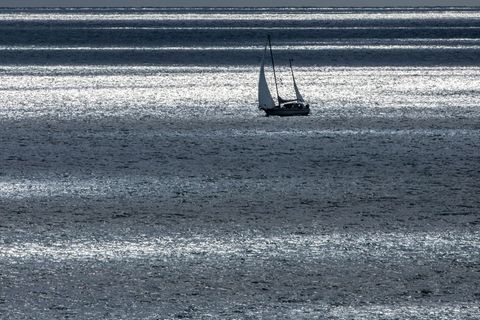 Die Ostsee erhitzt sich fast dreimal so schnell im Vergleich zum globalen Durchschnitt. (Symbolbild) Foto: Jens Büttner/dpa