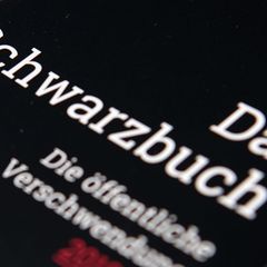 Der Steuerzahlerbund schaut kritisch auf das Finanzgebaren der öffentlichen Hand und führt ein Schwarzbuch der Steuergeld-Versch