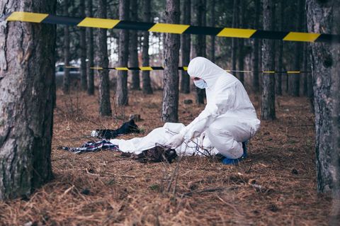 Krimi-Szene: Leichenfund im Walt