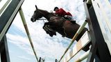 Pferde: Springpferd überm Sprung
