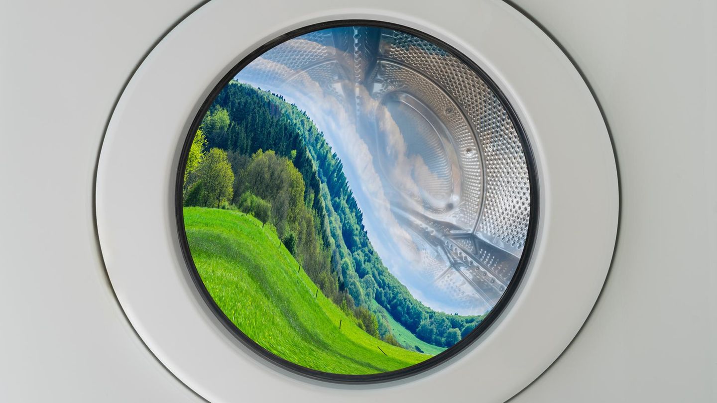 Greenwashing: Waschmaschine, in der sich eine Landschaft spiegelt